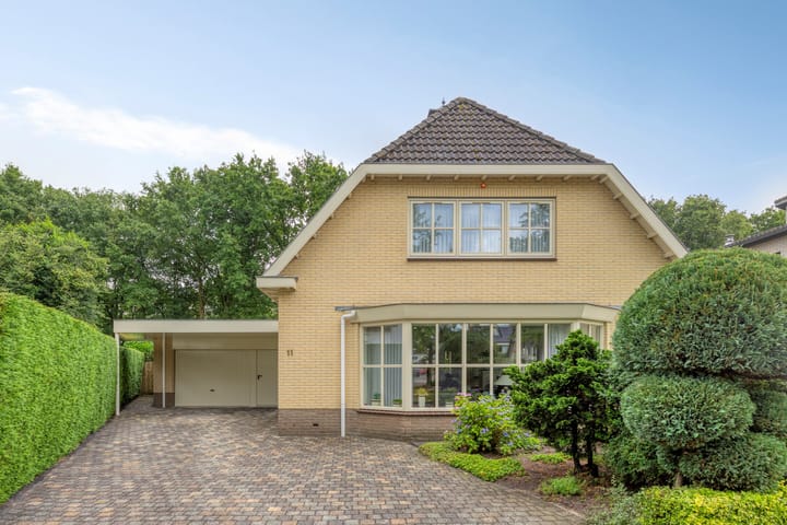 Foto 4 van Bilzekruid 11