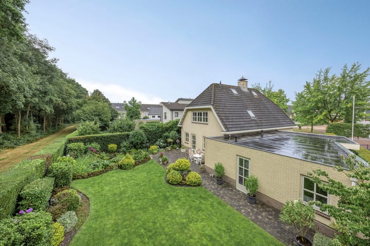 Foto 4 van Bilzekruid 11