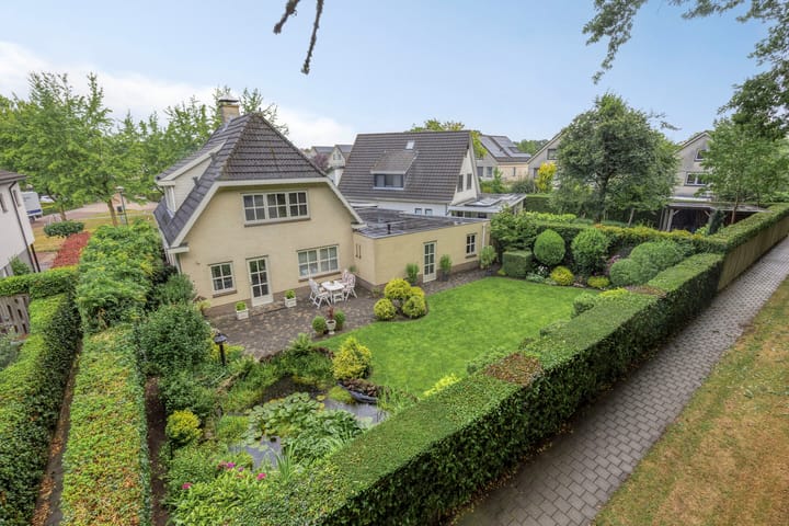 Bilzekruid 11 main image