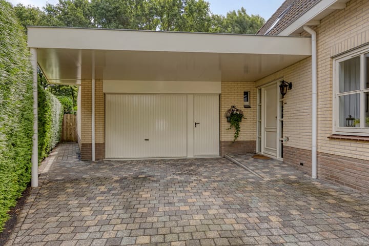 Foto 8 van Bilzekruid 11