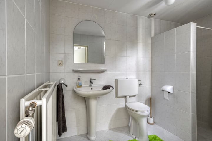 Foto 27 van Bilzekruid 11