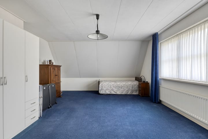 Foto 38 van Bilzekruid 11