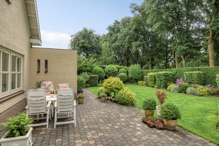 Foto 40 van Bilzekruid 11