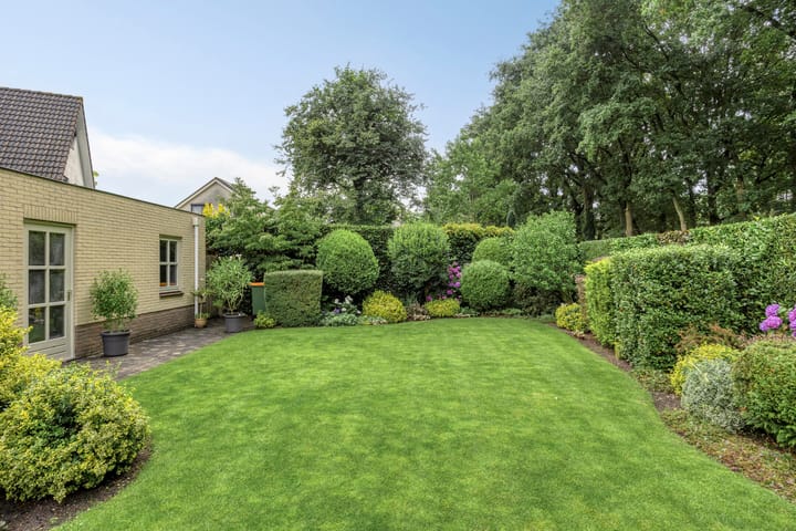 Foto 41 van Bilzekruid 11