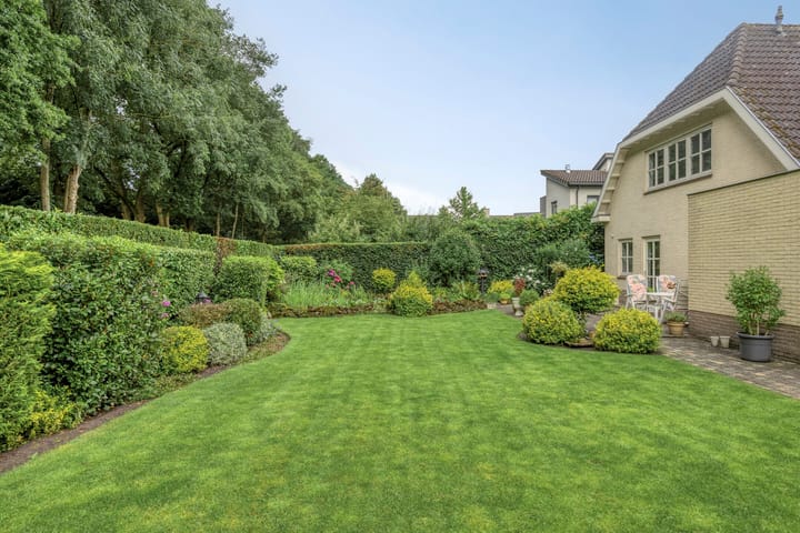 Foto 6 van Bilzekruid 11