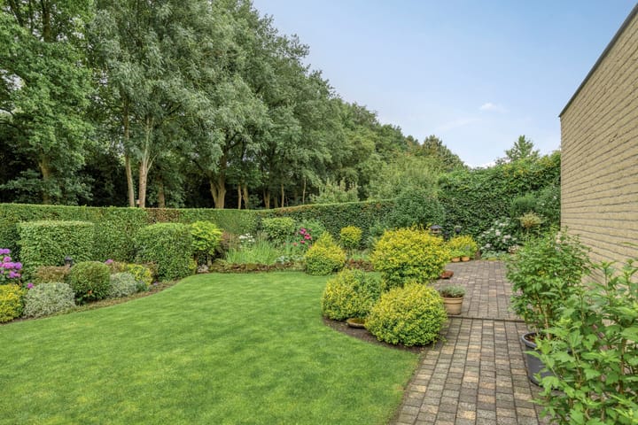 Foto 42 van Bilzekruid 11