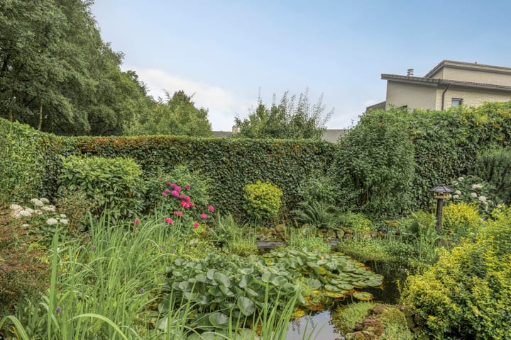 Foto 43 van Bilzekruid 11