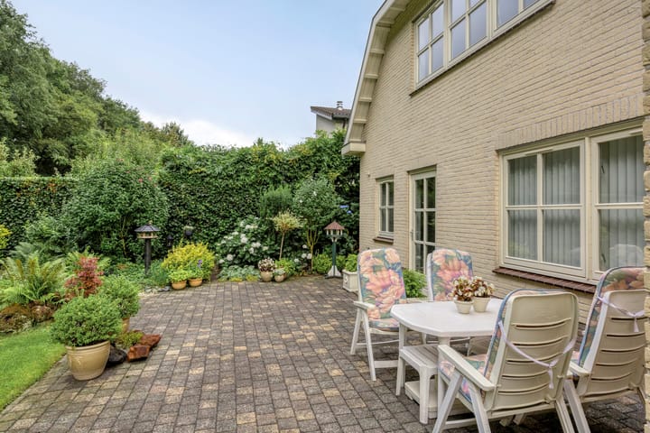 Foto 44 van Bilzekruid 11