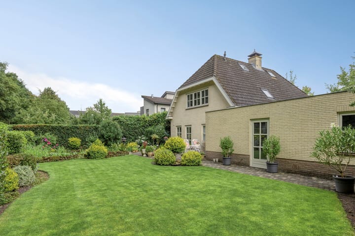 Foto 48 van Bilzekruid 11