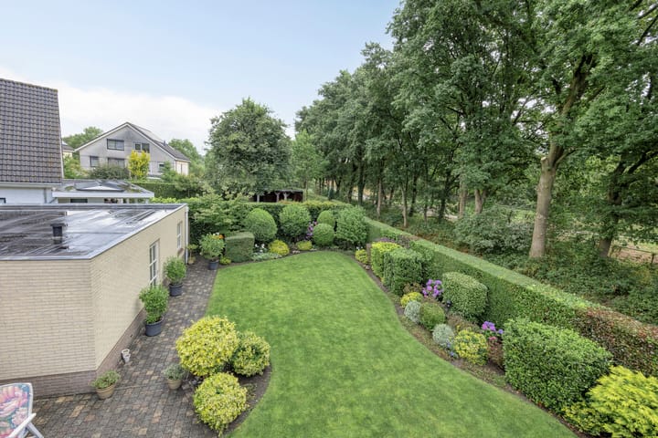 Foto 52 van Bilzekruid 11