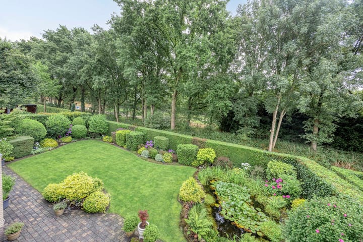 Foto 7 van Bilzekruid 11