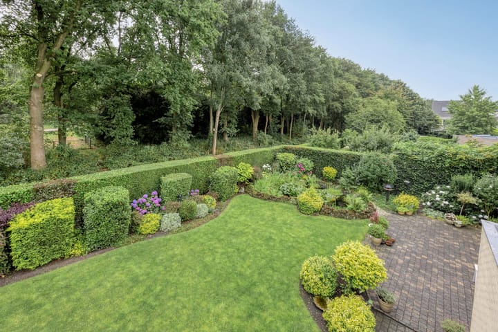 Foto 53 van Bilzekruid 11