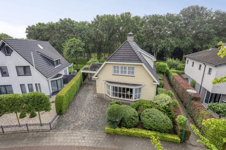 Foto 54 van Bilzekruid 11