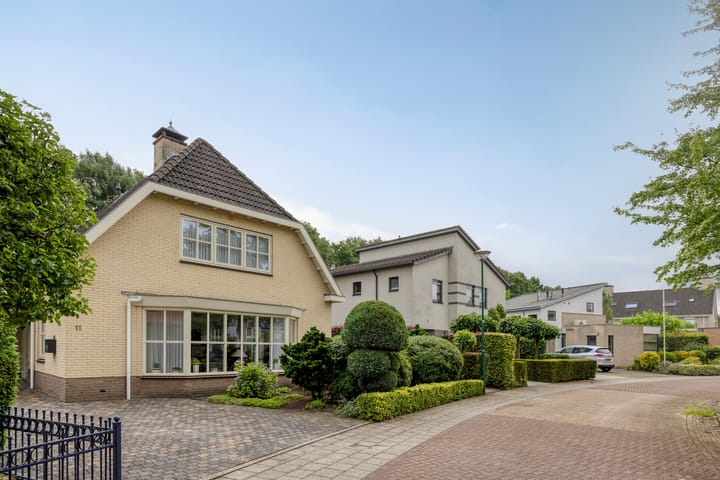 Foto 55 van Bilzekruid 11