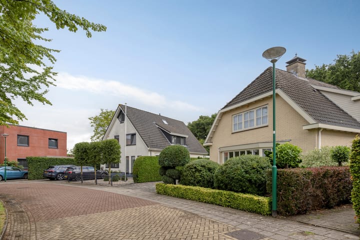 Foto 56 van Bilzekruid 11