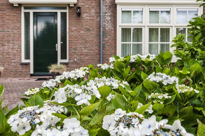 Foto 51 van G.W. Lovendaalsingel 52