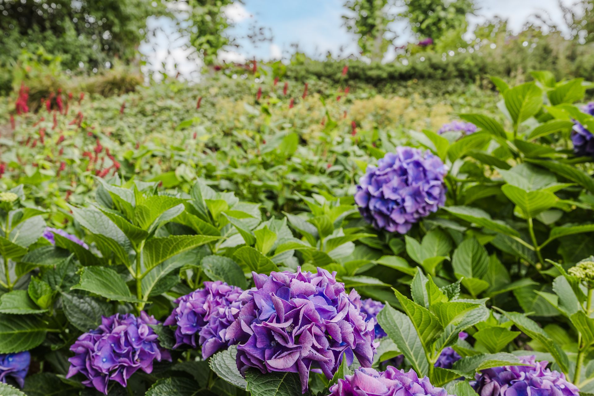 Foto 60 van G.W. Lovendaalsingel 52