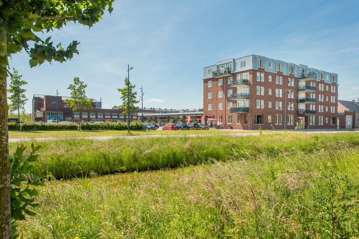 De Arend 35
