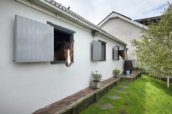 Foto 5 van Noordhoeksedijk 17