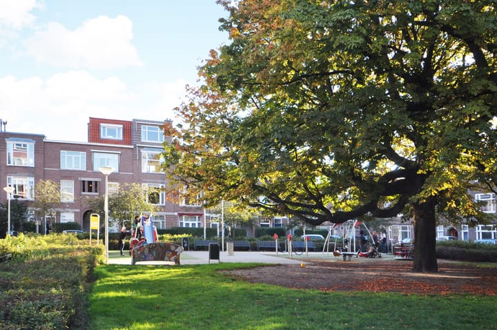 Foto 53 van Pomonaplein 6