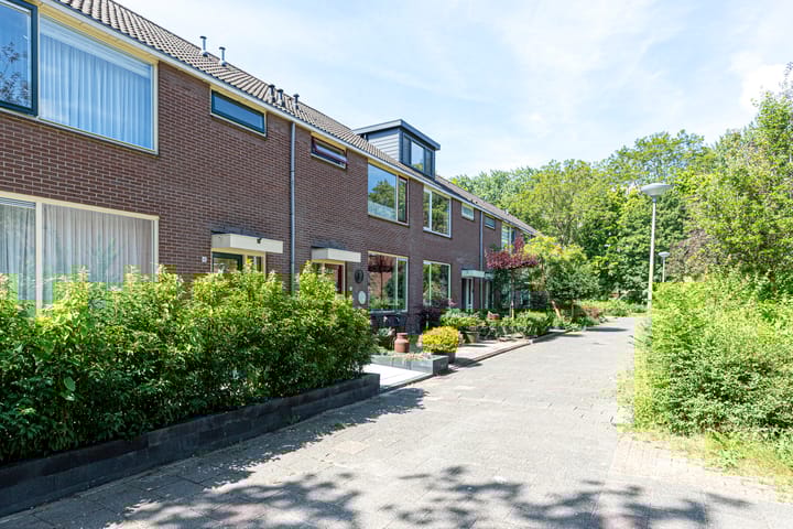 Foto 35 van Gravestein 45