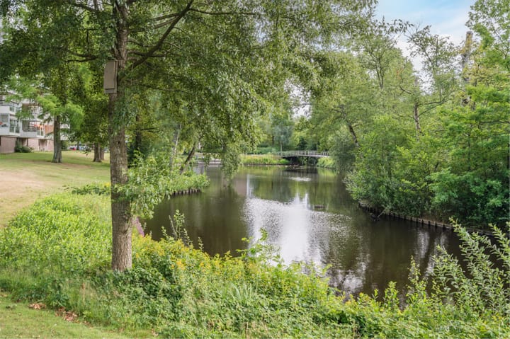 Foto 55 van Veenbesstraat 150