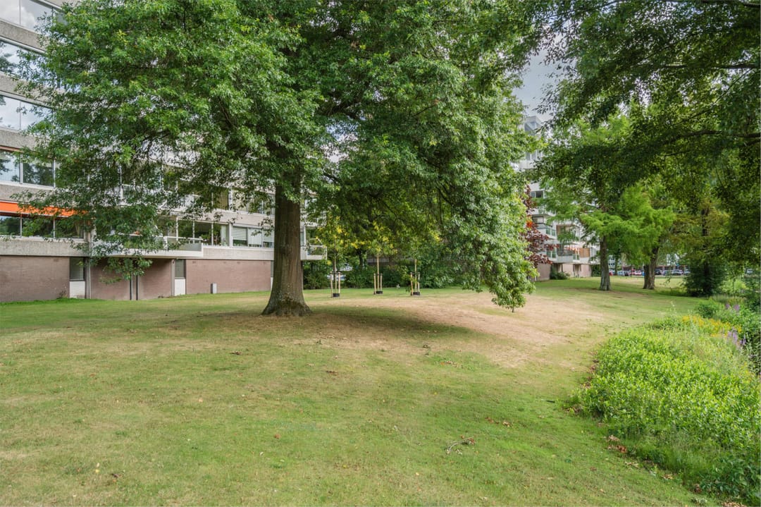 Foto 56 van Veenbesstraat 150