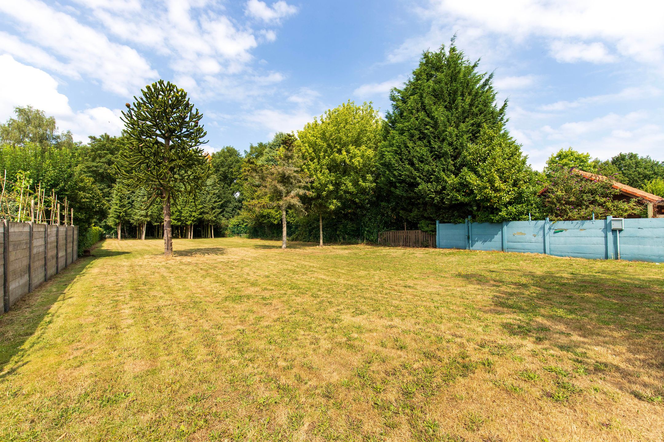 Foto 3 van Calfven 189