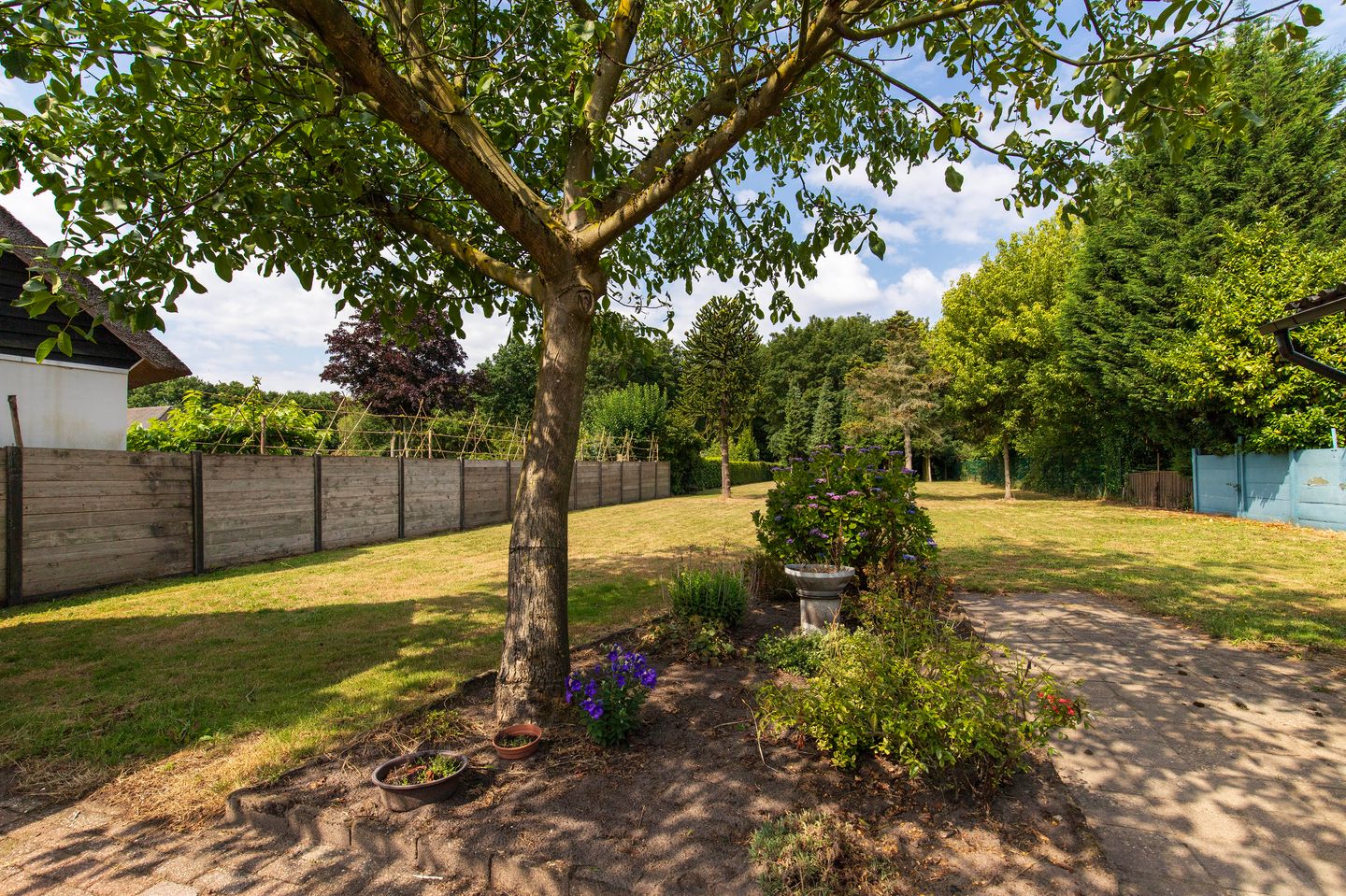 Foto 34 van Calfven 189