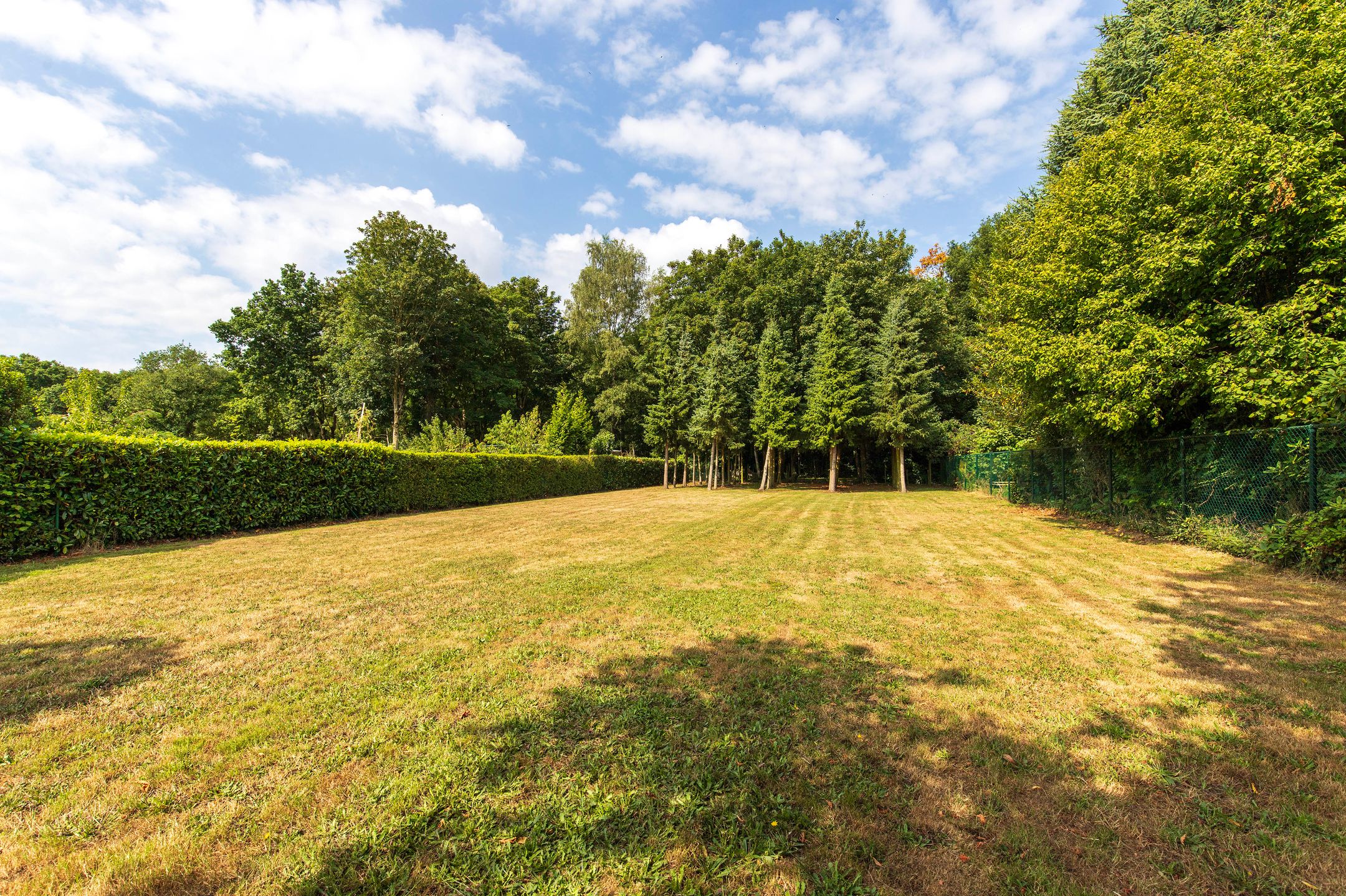 Foto 36 van Calfven 189