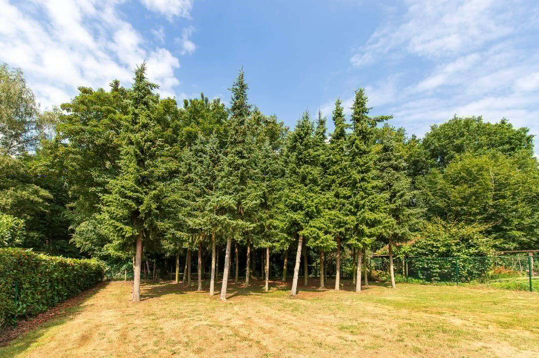 Foto 38 van Calfven 189