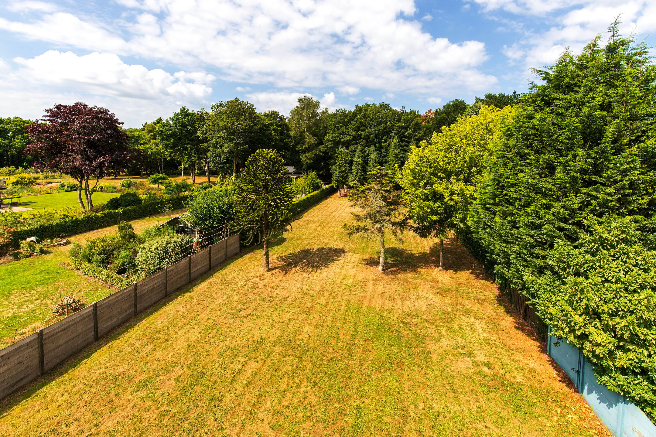 Foto 39 van Calfven 189