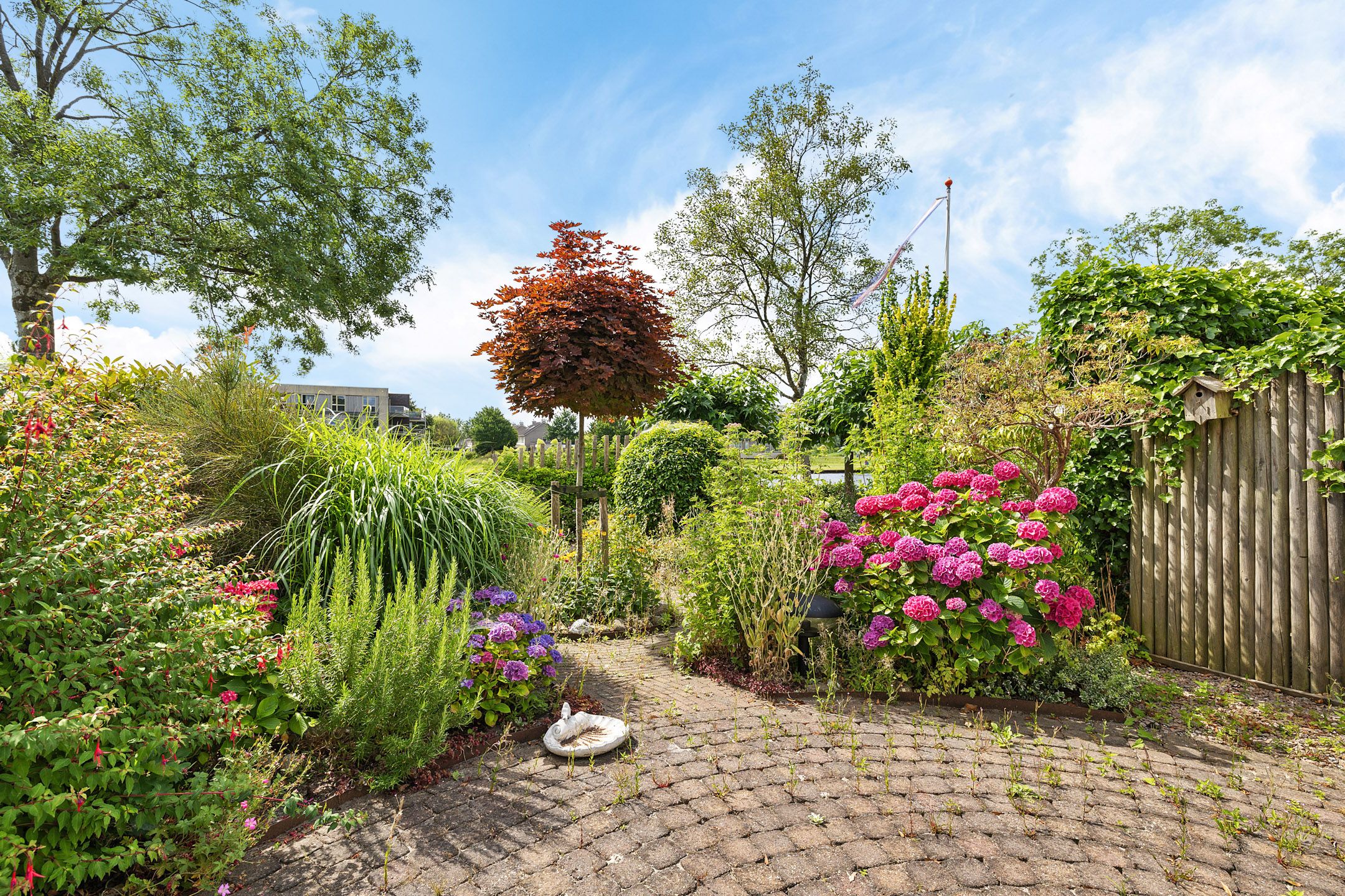 Photo 33 of Ereprijs 98