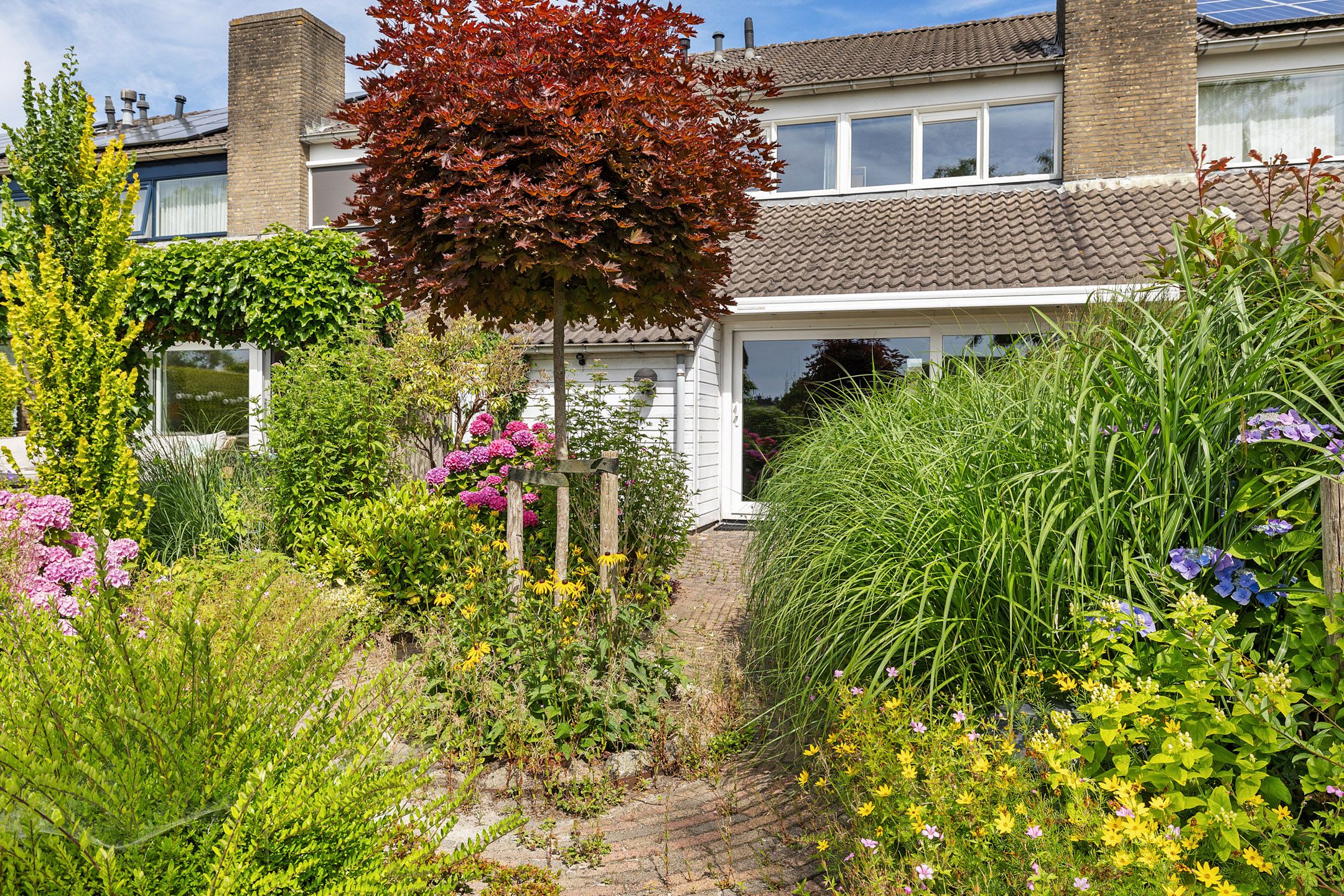 Photo 36 of Ereprijs 98