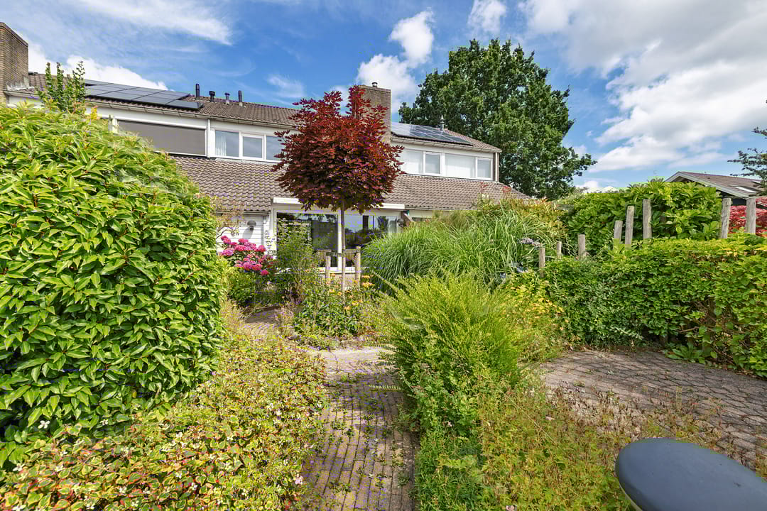 Photo 37 of Ereprijs 98