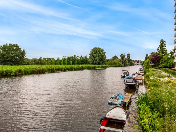 Foto 36 van Tooroplaan 52