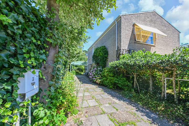 Foto 2 van Jan Muschlaan 3