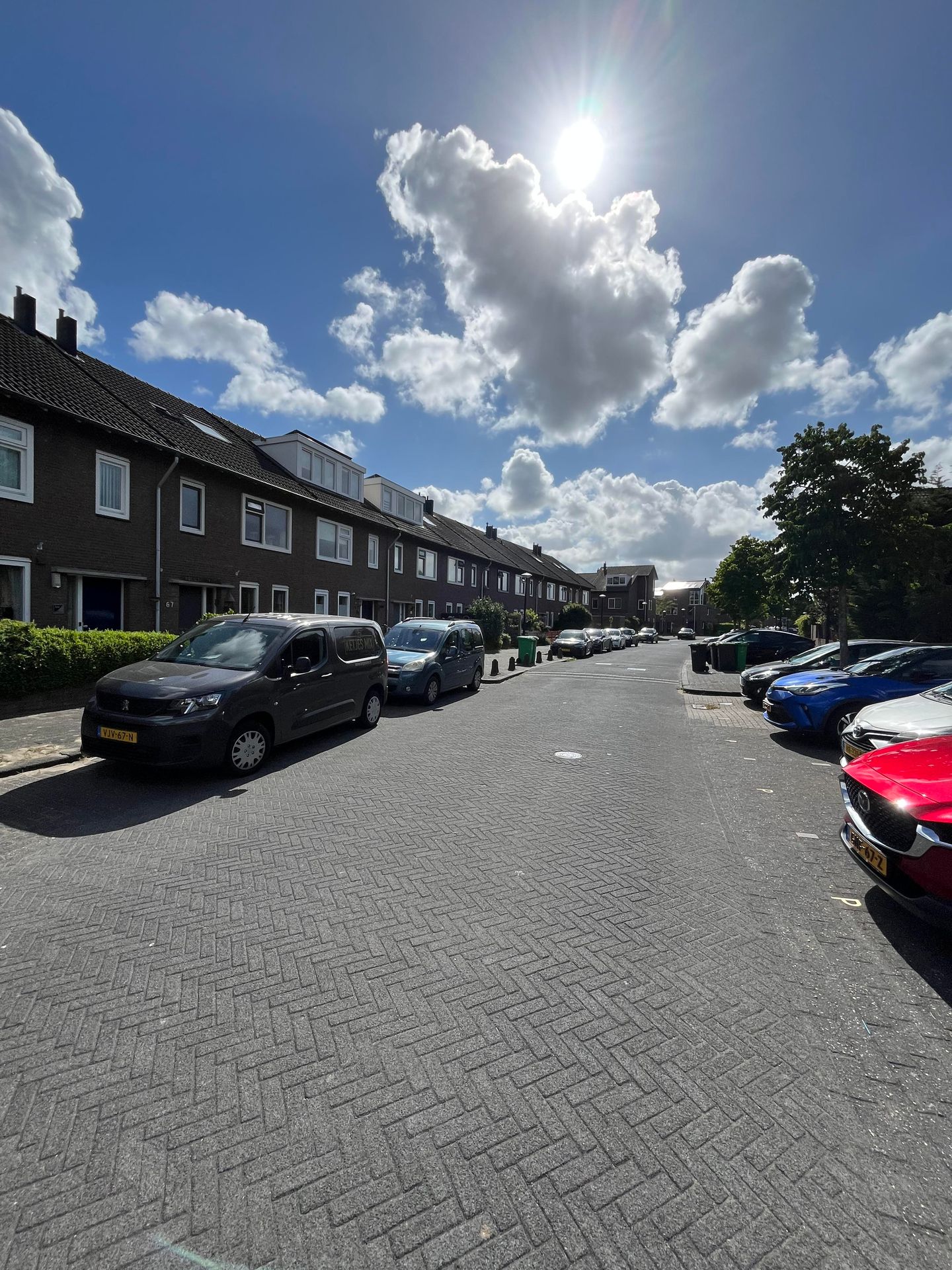 Photo 50 of Fie Carelsenlaan 71