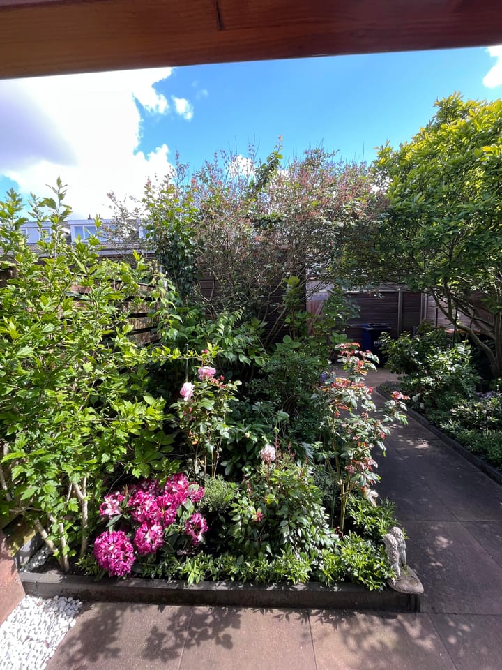 Foto 39 van Fie Carelsenlaan 71