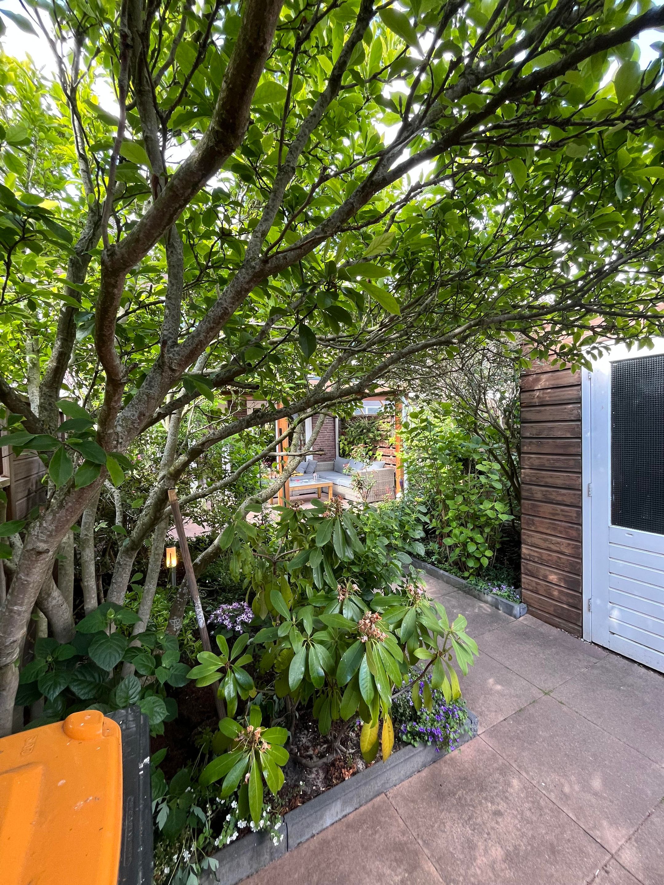 Photo 42 of Fie Carelsenlaan 71