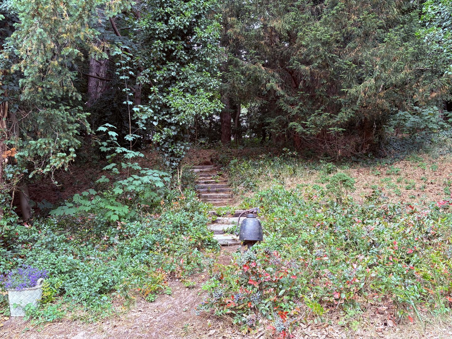 Foto 49 van Midden Duin en Daalseweg 30