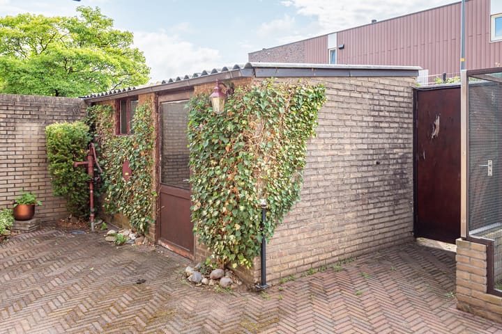 Foto 31 van Roomberg 66