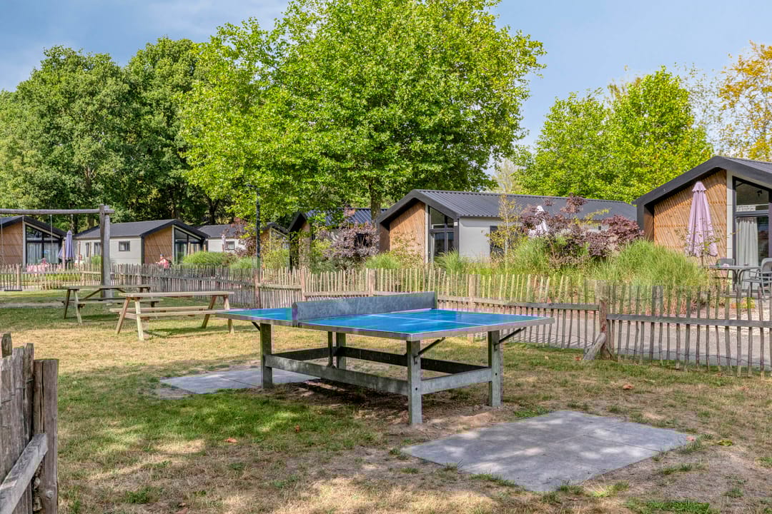 Photo 16 of van Haestrechtstraat 24-104