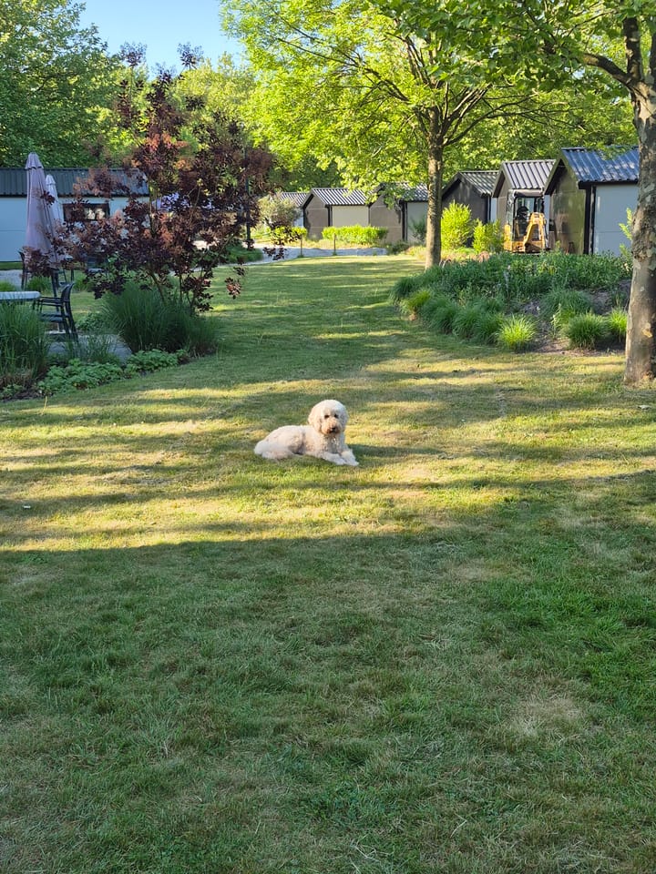 Photo 6 of van Haestrechtstraat 24-499