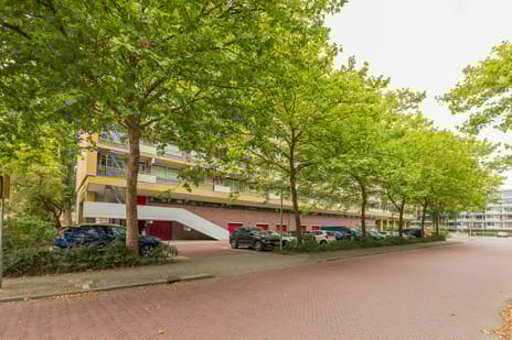 undefined main image