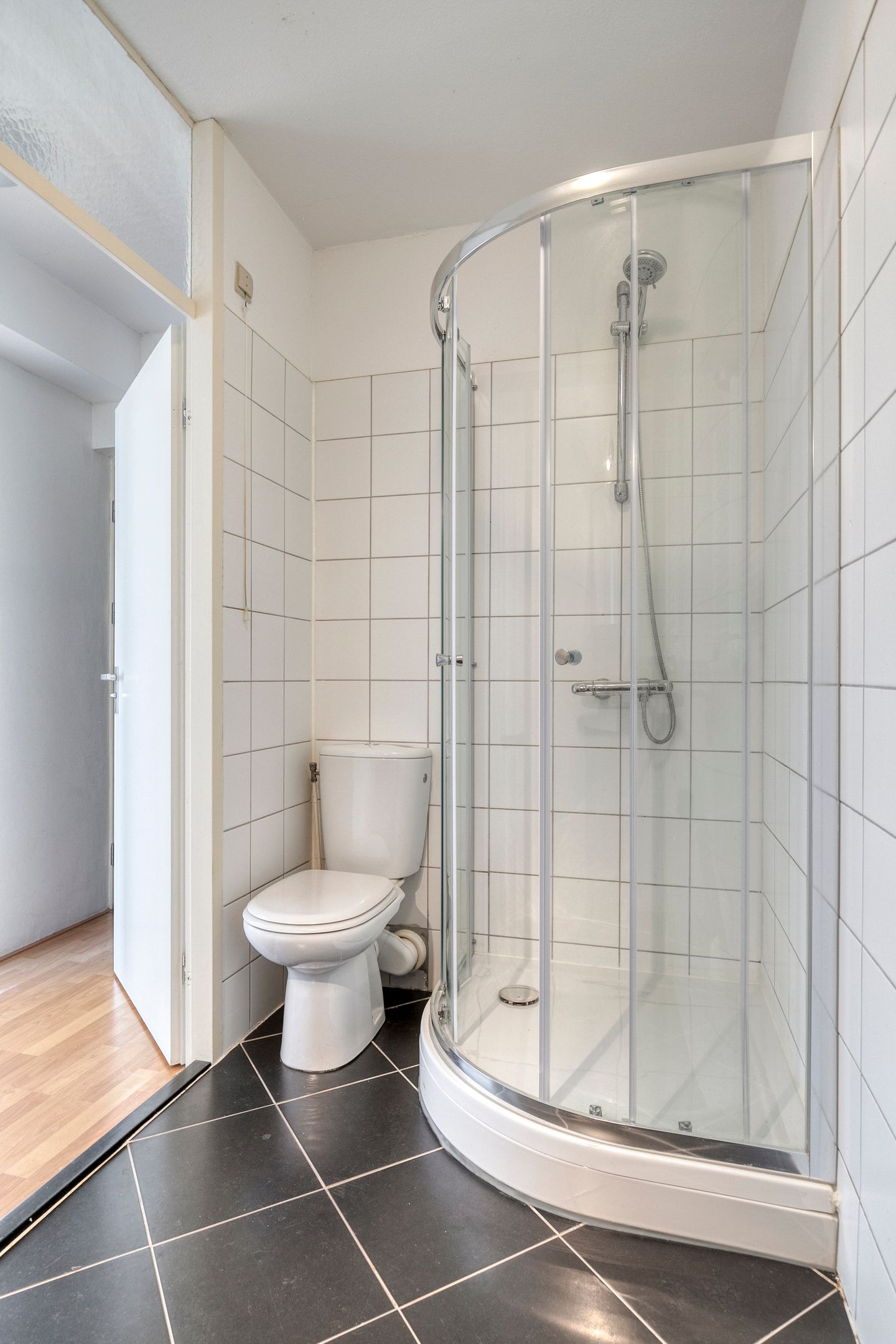 Foto 15 van Henry Moorepassage 200