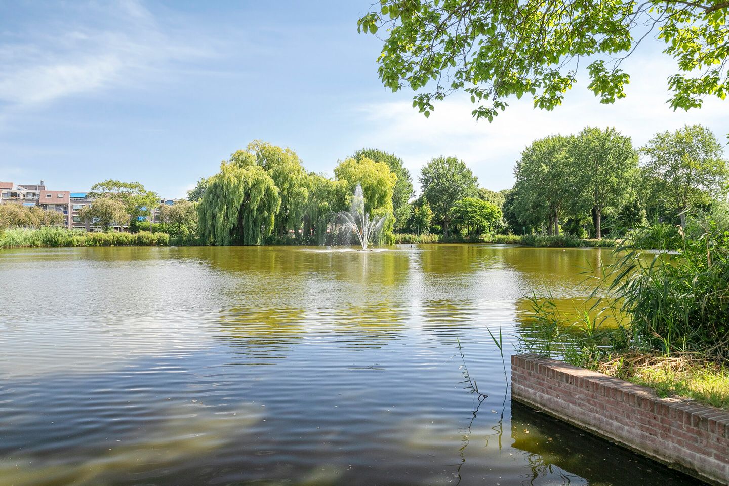 Foto 25 van Henry Moorepassage 200