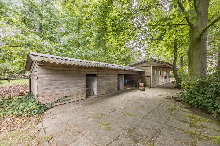 Photo 56 of Pastoriestraat 19