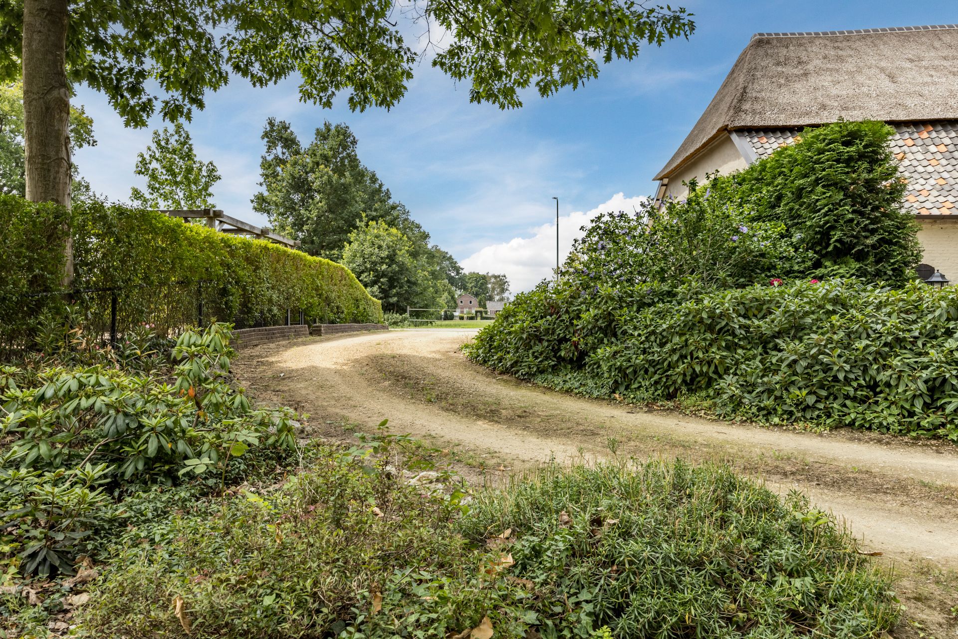 Foto 60 van Pastoriestraat 19