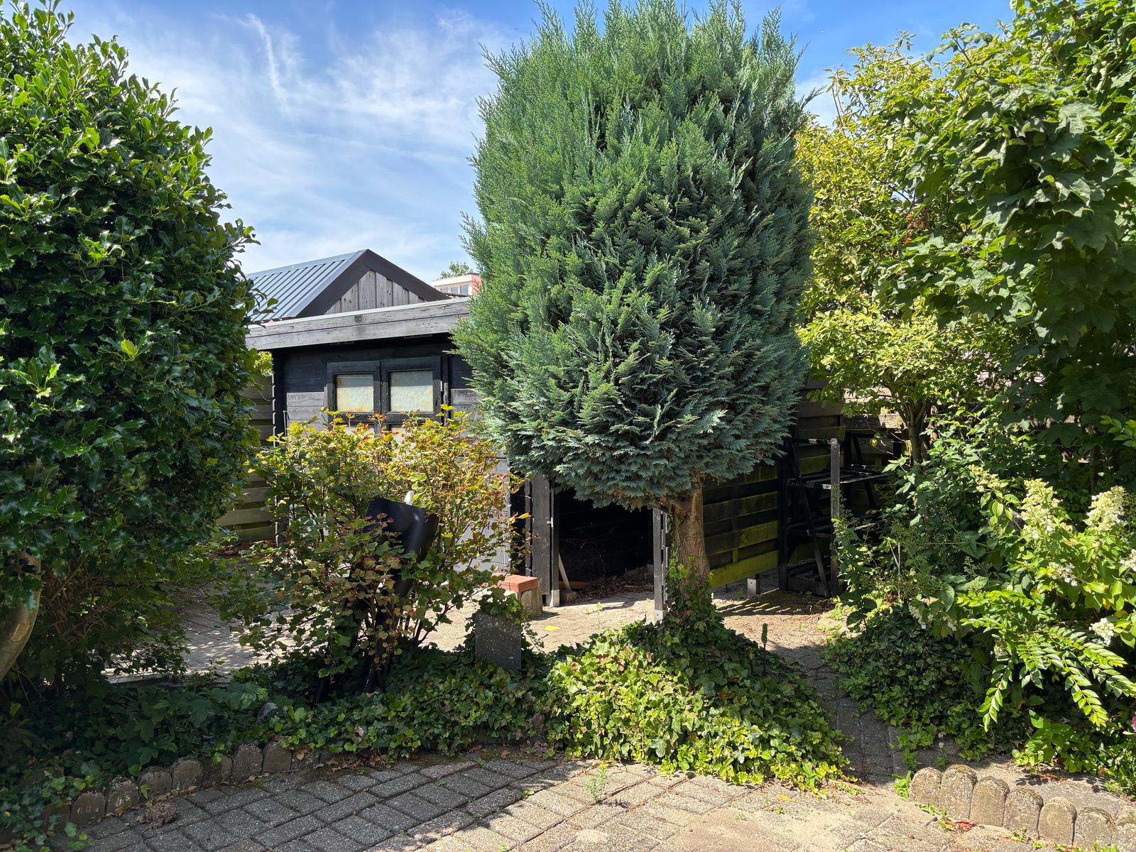 Foto 12 van Narcissenstraat 21